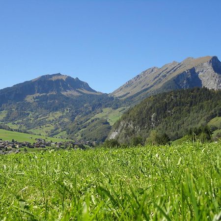 Haus Alpina Otel Au (Vorarlberg) Dış mekan fotoğraf