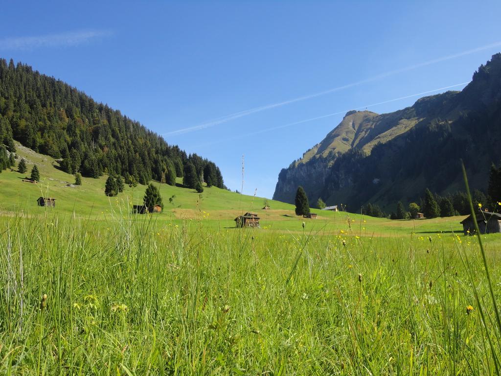 Haus Alpina Otel Au (Vorarlberg) Dış mekan fotoğraf